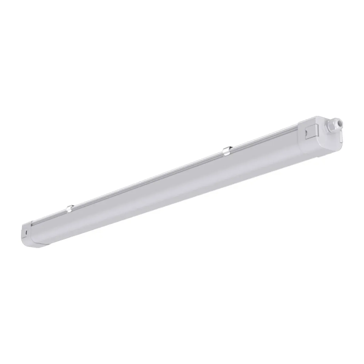 BL Feuchtraum Pure+