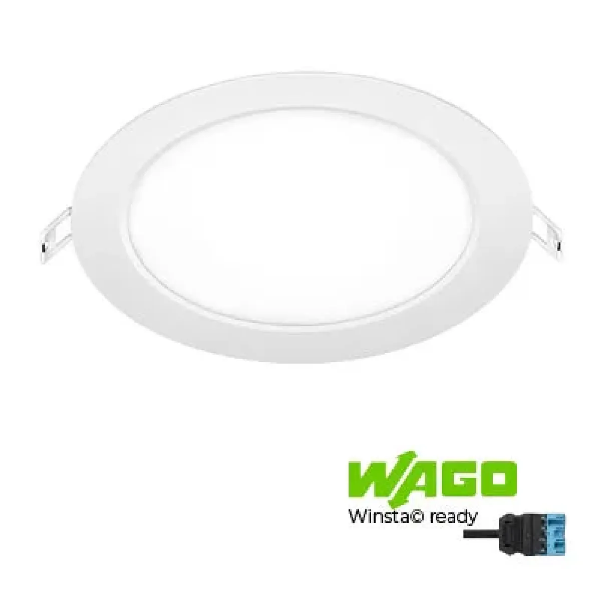 BL Downlight Pure