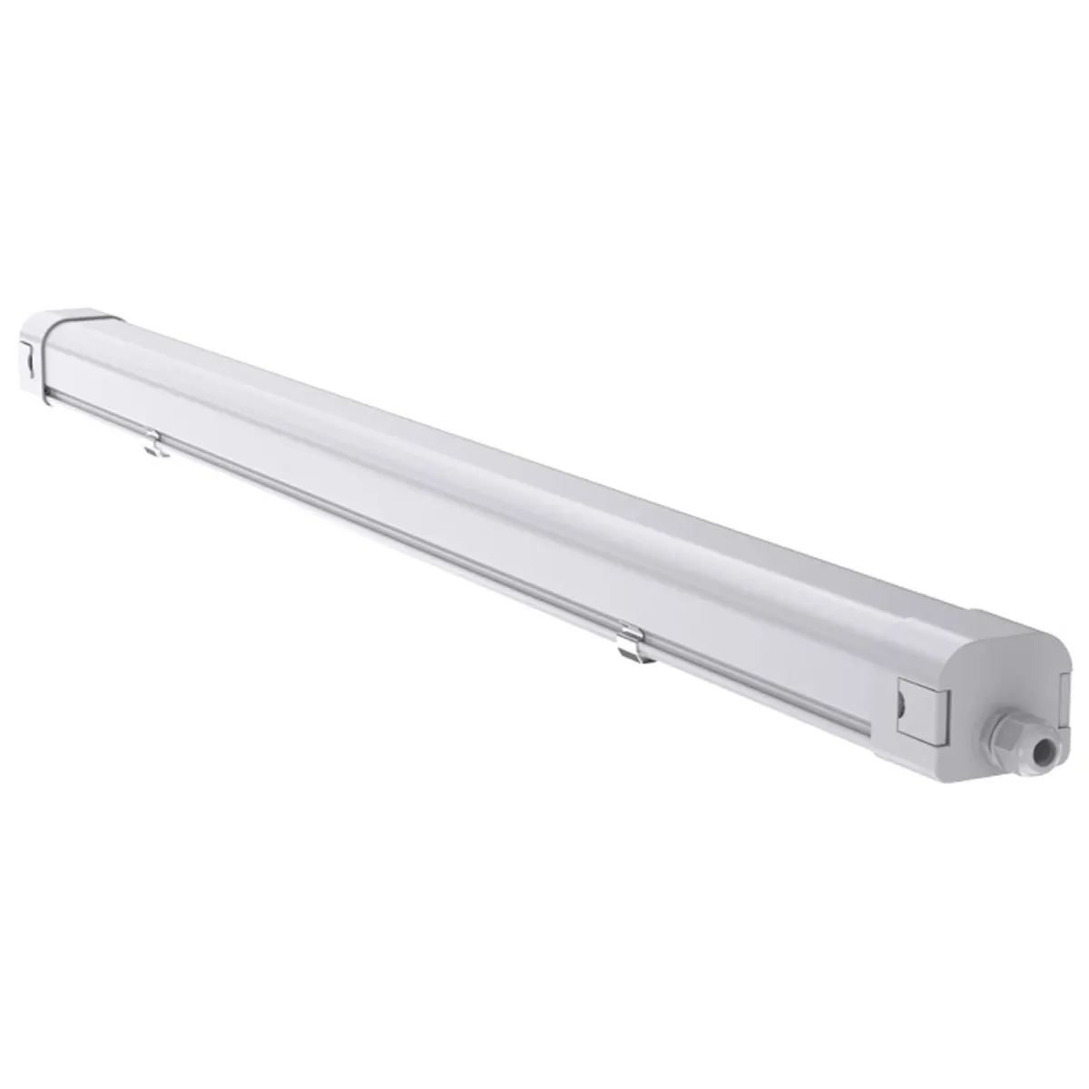 BL Feuchtraum Pure+